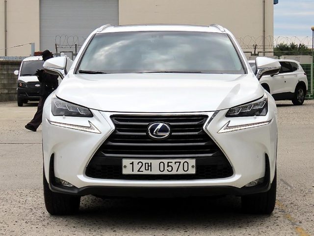 2015 Lexus NX 300h 슈프림
