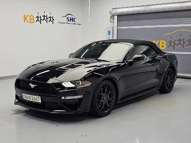 2021 Ford Mustang 컨버터블