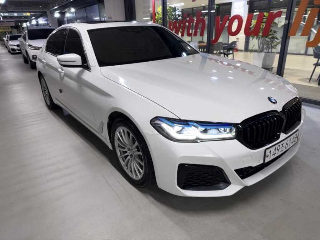 2019 BMW 5 Series (G30) 520i 럭셔리