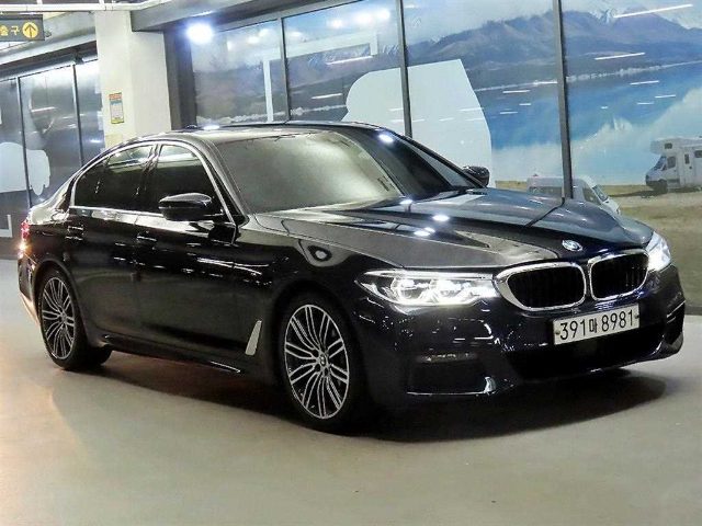 2020 BMW 5 Series (G30) 530i M 스포츠 플러스