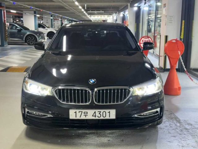 2018 BMW 5 Series (G30) 520i 럭셔리