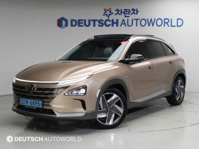 2019 Hyundai Nexo 프리미엄