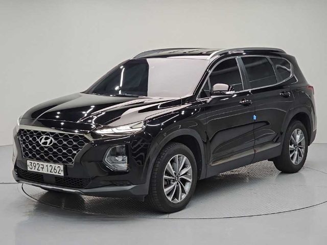2019 Hyundai Santa Fe TM 디젤 2.0 2WD 익스클루시브