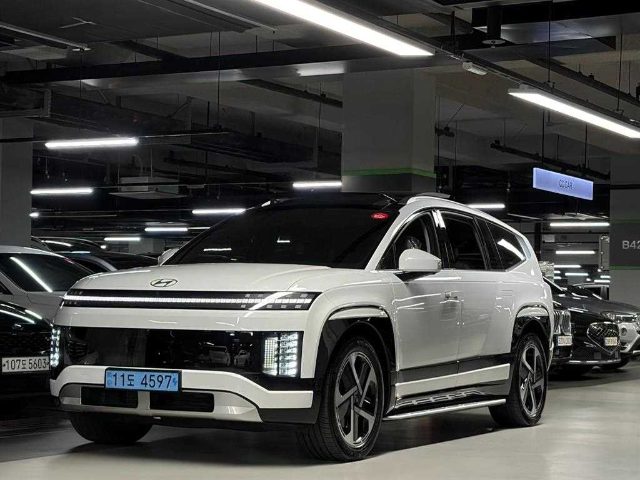 2025 Hyundai Ioniq 9 성능형 AWD 프레스티지