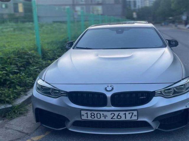 2017 BMW M3 (F80, E90) M3 M 퍼포먼스 사일런스 에디션