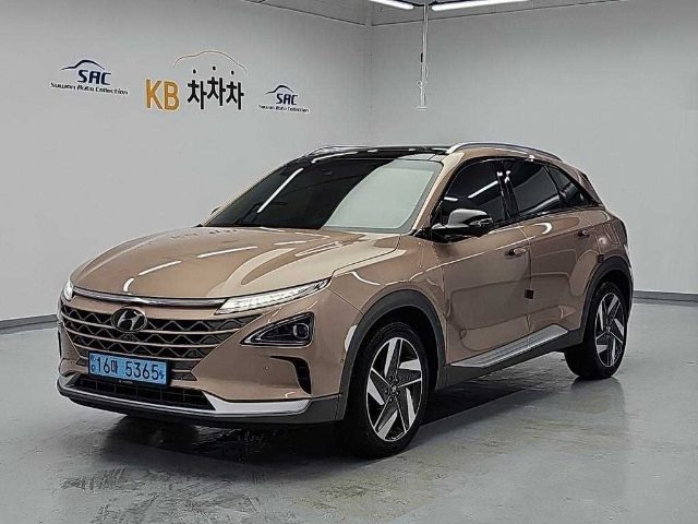 2021 Hyundai Nexo 프리미엄