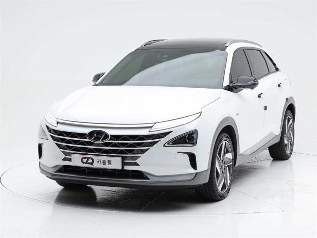 2019 Hyundai Nexo 프리미엄