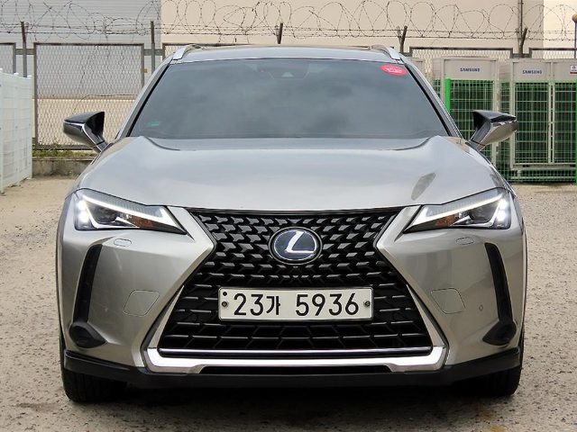 2019 Lexus UX 250h 2.0 2WD