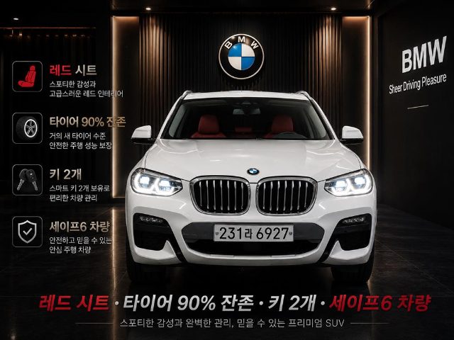 2020 BMW X4 (G02) xDrive 20d M 스포츠 X