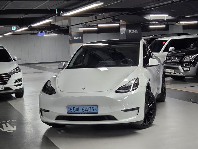 2021 Tesla Model Y 퍼포먼스