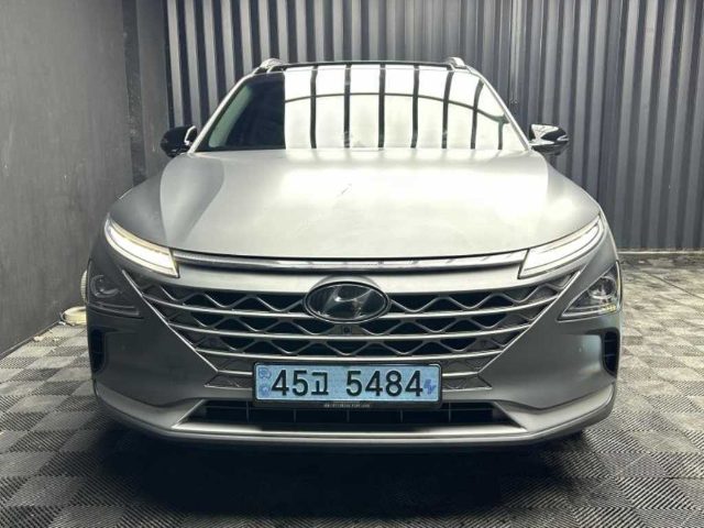 2021 Hyundai Nexo 프리미엄
