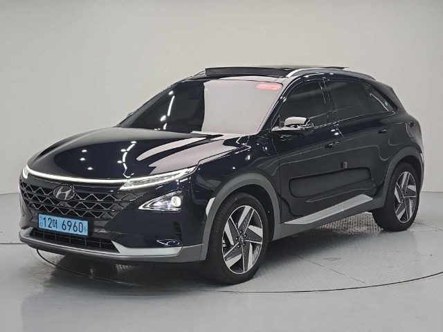 2021 Hyundai Nexo 프리미엄