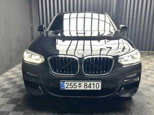 2019 BMW X4 (G02) xDrive 20d M 스포츠