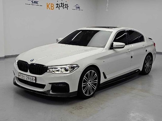 2019 BMW 5 Series (G30) 530i M 스포츠 플러스