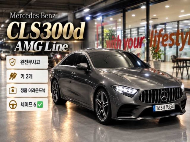 2019 Mercedes-Benz CLS C257 CLS 300d AMG Line