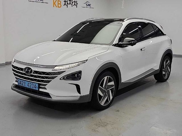 2021 Hyundai Nexo 프리미엄