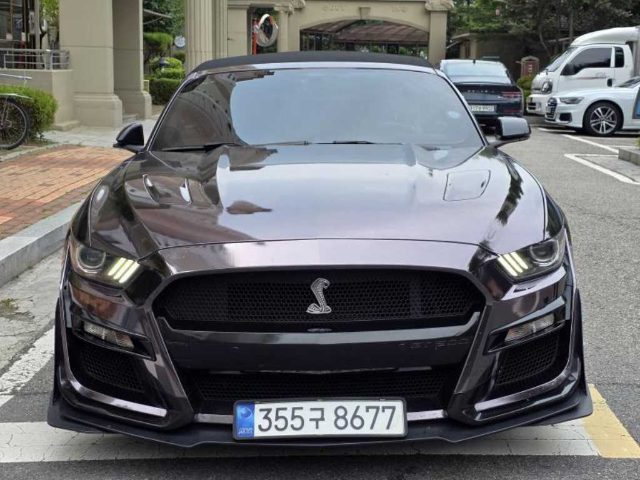 2018 Ford Mustang 6세대 5.0 GT 컨버터블 프리미엄