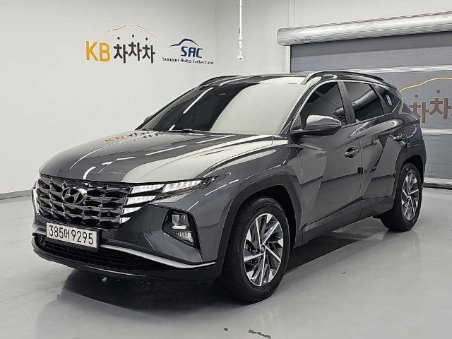 2023 Hyundai Tucson (NX4) 디젤 2.0 2WD 프리미엄