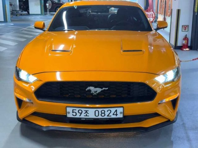 2019 Ford Mustang 6세대 2.3 쿠페 프리미엄