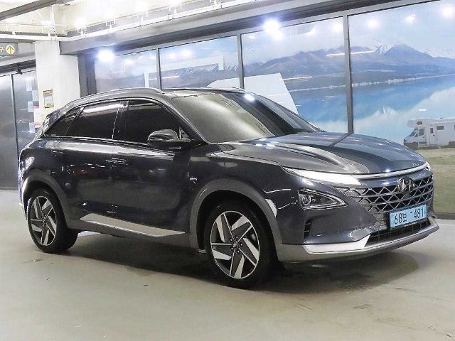 2019 Hyundai Nexo 프리미엄