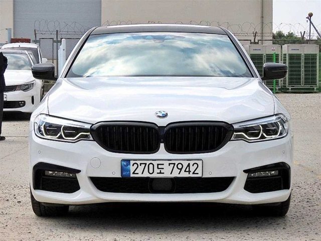 2019 BMW 5 Series (G30) 520d M 스포츠 플러스