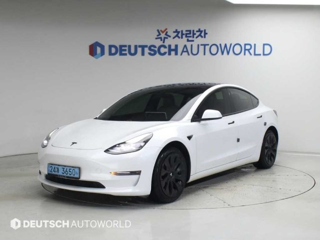 2021 Tesla Model 3 롱 레인지
