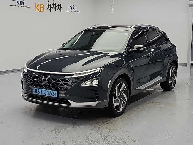 2020 Hyundai Nexo 프리미엄