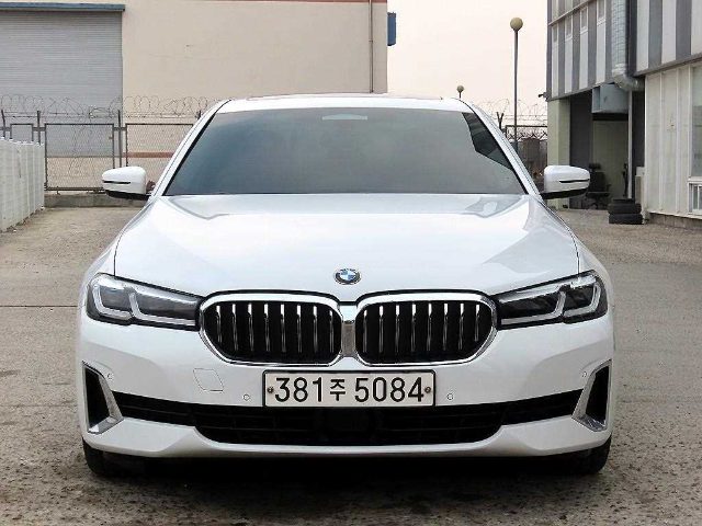 2020 BMW 5 Series (G30) 523d 럭셔리