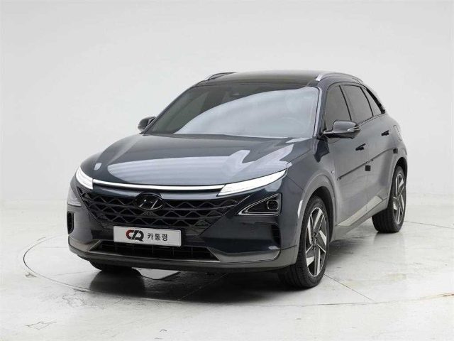 2019 Hyundai Nexo 프리미엄
