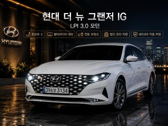 2020 Hyundai Grandeur IG LPI 3.0 모던 (렌터카)