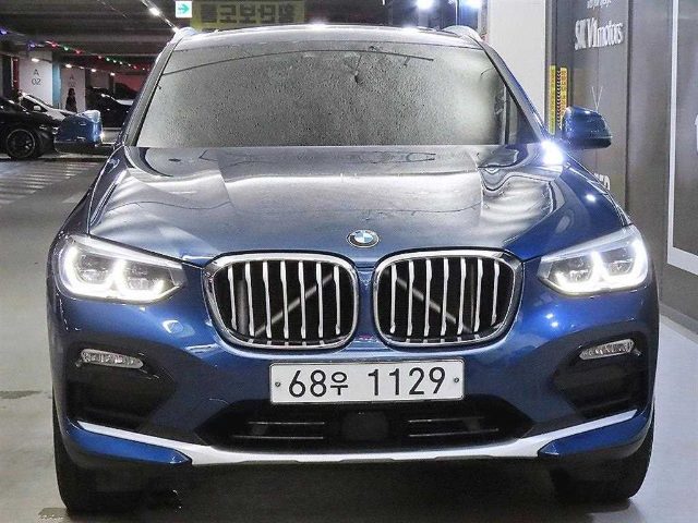 2019 BMW X4 (G02) xDrive 20d xLine