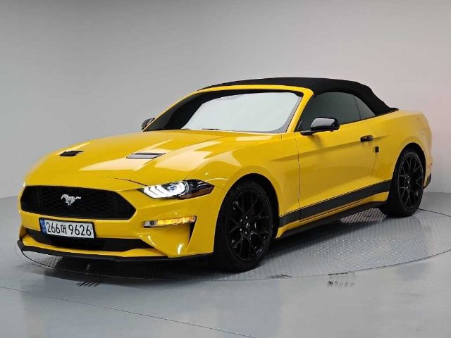 2019 Ford Mustang 컨버터블