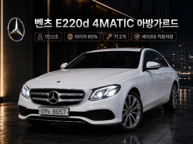 2017 Mercedes-Benz E-Class W213 E220d 4MATIC 아방가르드
