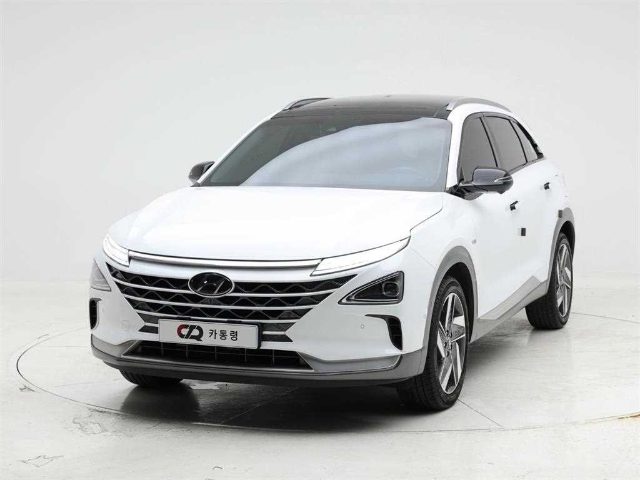2019 Hyundai Nexo 프리미엄