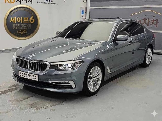 2019 BMW 5 Series (G30) 530i 럭셔리 플러스