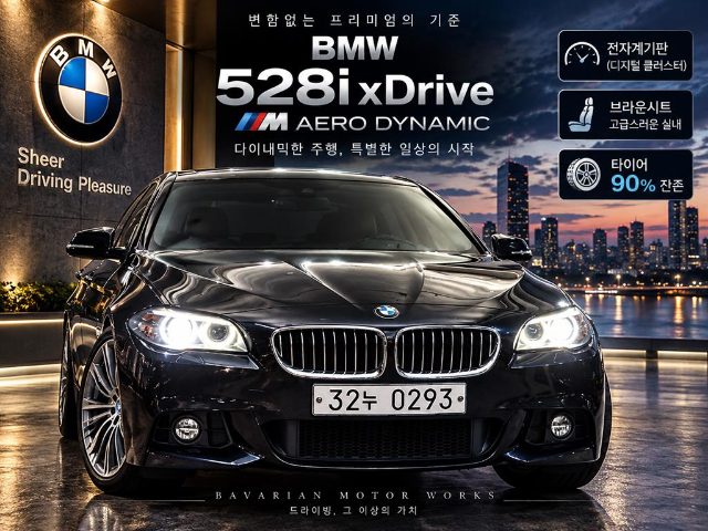 2016 BMW 5 Series (F10) 528i xDrive M 에어로 다이나믹