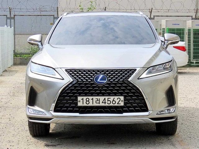 2020 Lexus RX 450hL (4세대) 이그제큐티브