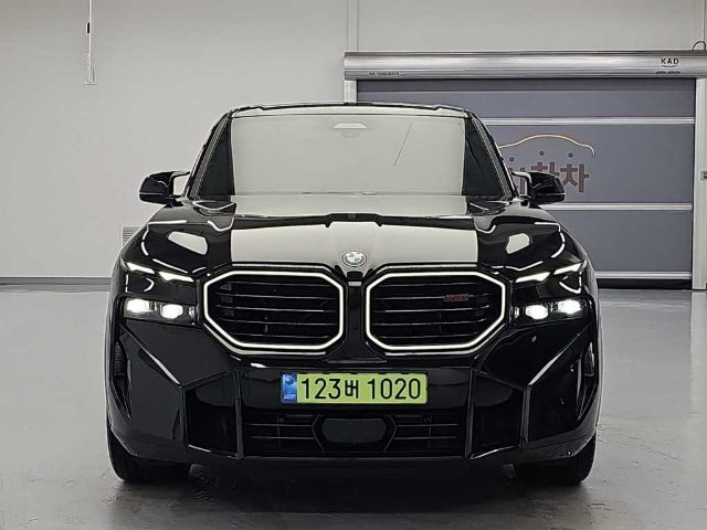 2025 BMW XM (G09) 레이블
