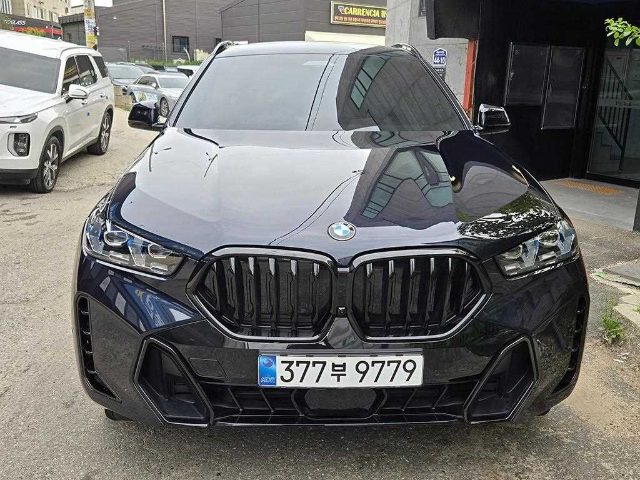 2025 BMW X6 (G06) xDrive 30d M 스포츠