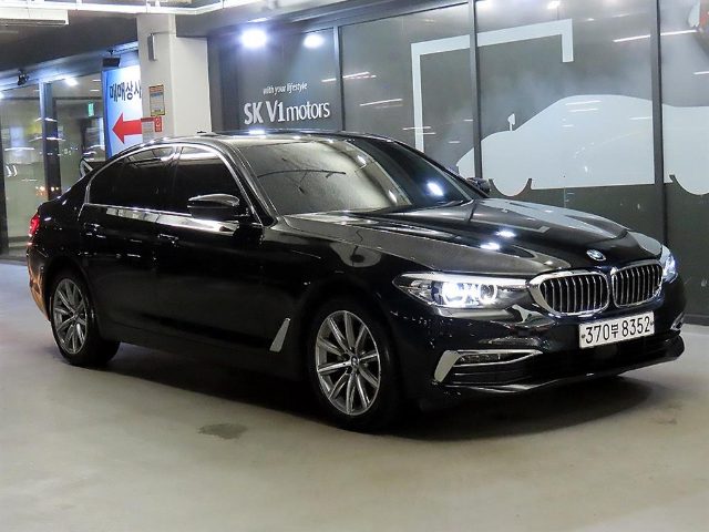 2019 BMW 5 Series (G30) 520i 럭셔리