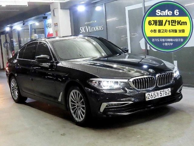 2019 BMW 5 Series (G30) 520i 럭셔리