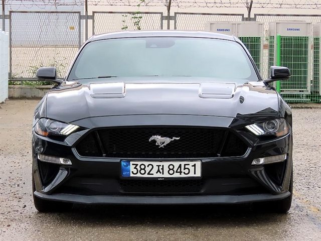 2019 Ford Mustang 6세대 5.0 GT 쿠페 프리미엄