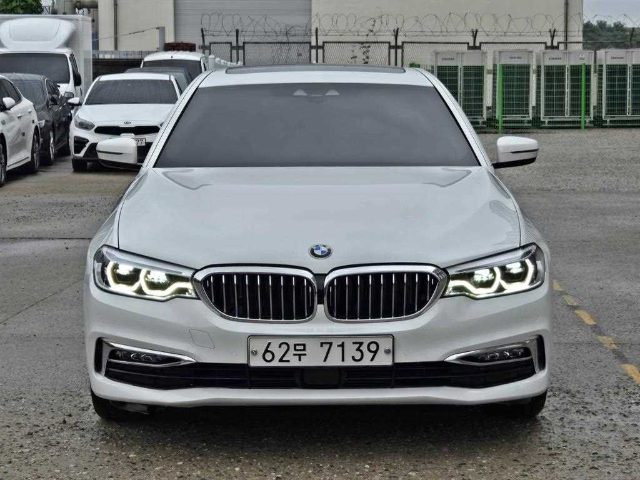 2018 BMW 5 Series (G30) 520d xDrive 럭셔리 플러스