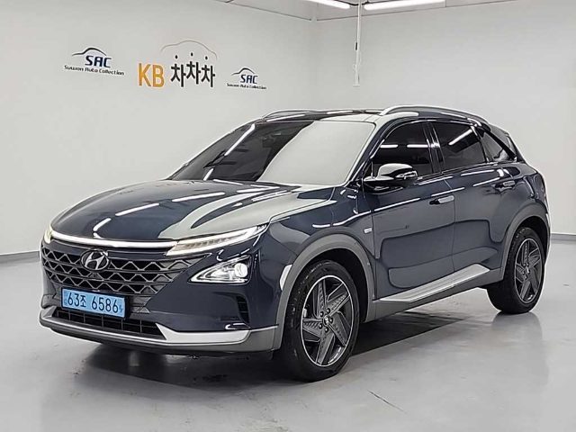 2019 Hyundai Nexo 프리미엄