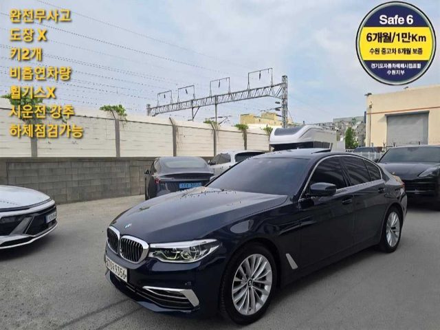 2019 BMW 5 Series (G30) 530i 럭셔리 플러스
