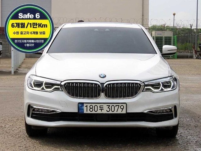 2019 BMW 5 Series (G30) 520d xDrive 럭셔리 플러스