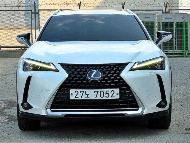 2019 Lexus UX 250h 2.0 AWD