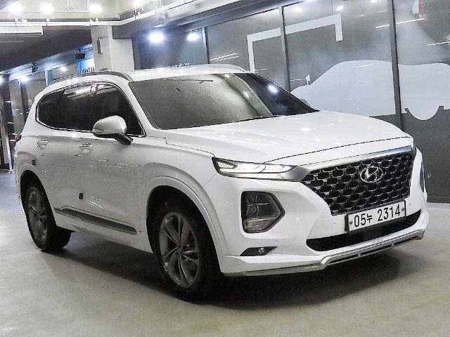 2018 Hyundai Santa Fe TM 디젤 2.0 4WD 인스퍼레이션