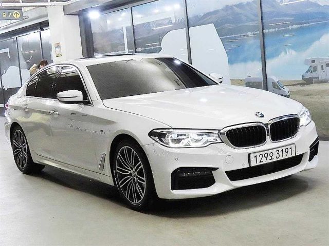 2020 BMW 5 Series (G30) 530i M 스포츠 플러스