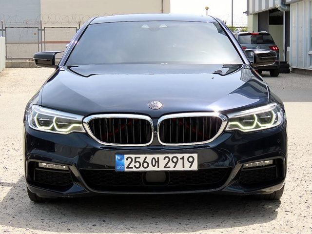 2019 BMW 5 Series (G30) 520d xDrive M 스포츠 플러스